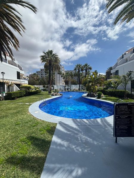 Foto f215e945-257e-49ce-91b4-25cabf4fb8cd. Apartament amb piscina a Playa de las Américas Arona