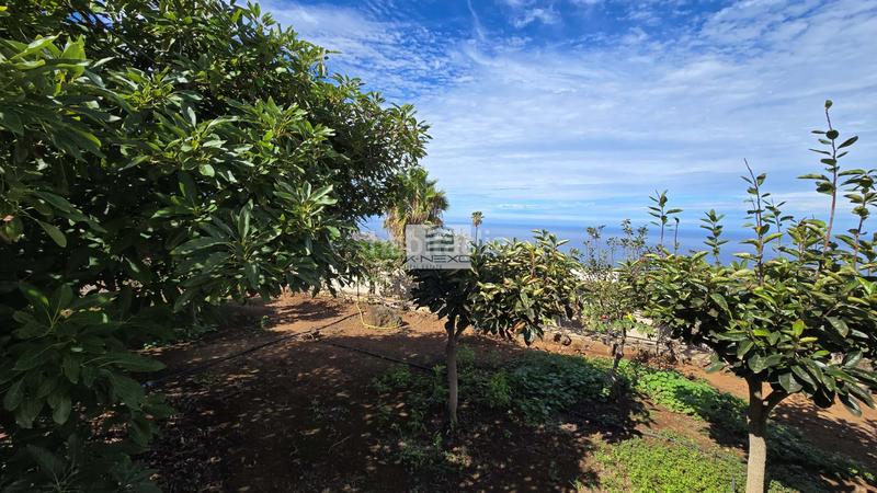 Foto 5aa678e5-6de4-4ffb-8404-639b999ca131. Chalet esta exclusiva villa con impresionantes vistas, ubicada en la costa norte de tenerife, entre la victoria y la matanza de acentejo, en Matanza de Acentejo (La)