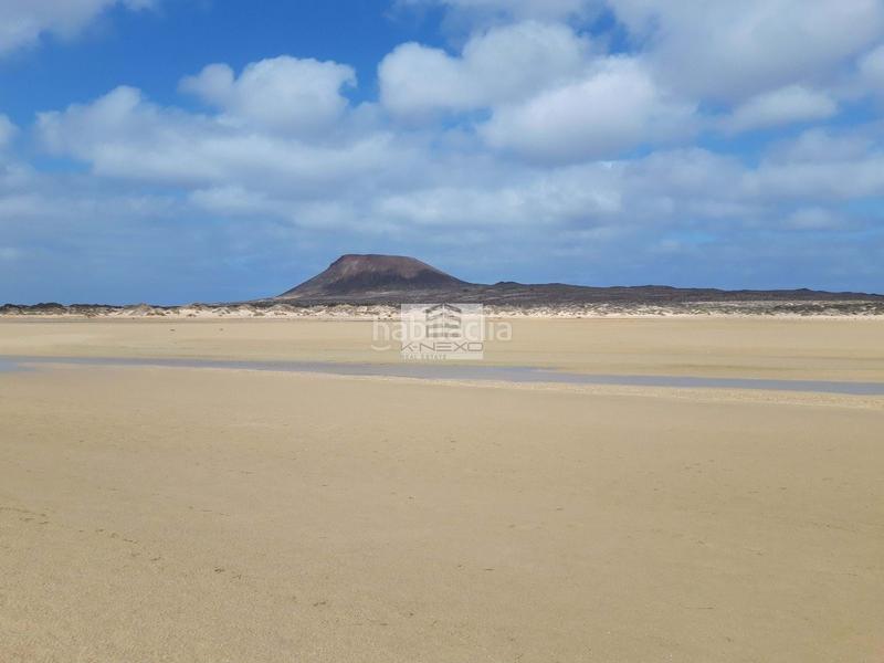 Foto c7d9db47-920f-41e1-bba4-af8b53c5b5e9. Estudio en La Graciosa Teguise