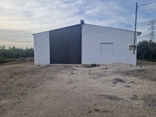 Rent Industrial building in N/a. Se alquila nave de 800m2 con 2000 de parcela.