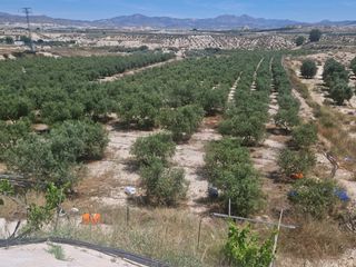 Fondo rustico in Rm-a7 119. Finca de olivos con almacen agua y luz en fortuna murcia