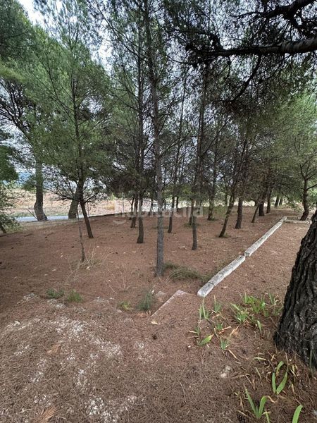 Foto 8c26a469-a7c0-451d-a555-5900bdca4dcc. Xalet amb aparcament a Aledo