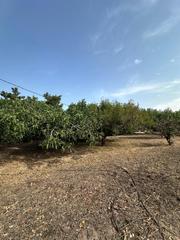 Terreny residencial  Las viñas. Finca rústica en venta con casa de madera en alhama de murcia