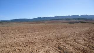 Finca rústica a Yecla. Parcela 4.051 m con agua en yecla murcia