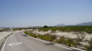 Propriété à Abanilla. Suelo industrial de 26.768 m con olivos en producción en abanill