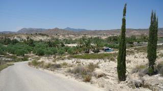 Finca rústica en Abanilla. Dos parcelas en suelo urbano con agua y electricidad en mahoya a