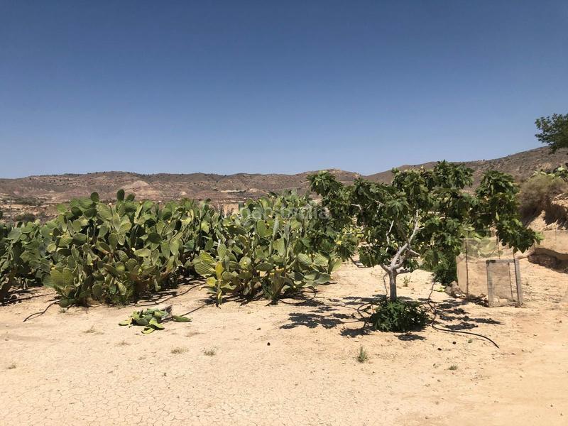 Foto 2396221a-9c5d-4b9e-88fe-a78949eb4695. Haus in Abanilla