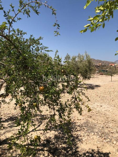 Foto 395d3568-96c1-4be5-9512-9f3a371b3be2. Haus in Abanilla