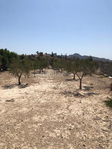 Foto cdd2e2a0-5a36-4749-a251-01d1655c58ce. Haus in Abanilla