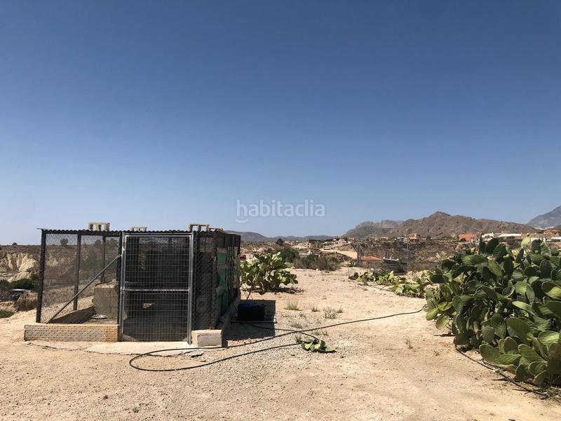 Foto d56e404c-8380-4e0b-bcde-df76f17097de. Haus in Abanilla