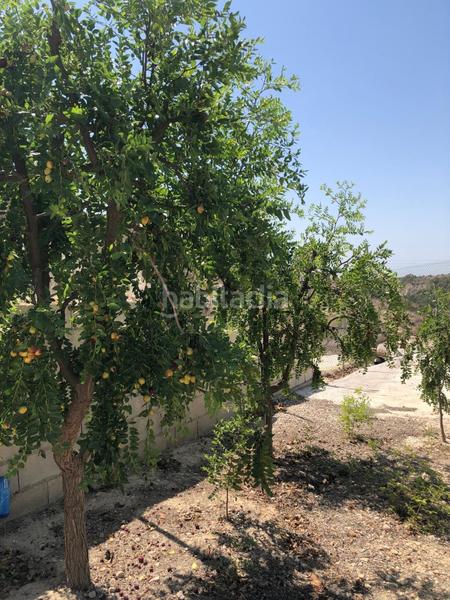 Foto e13bf2a2-5bd0-4a52-a647-7fe403fa804b. Haus in Abanilla