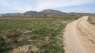 Finca r�stica en Yecla. Parcela r�stica de 6,366 m en yecla, murcia