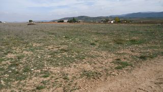 Finca r�stica en Yecla. Parcela de 13,462 m edificable en yecla, murcia, con derechos de