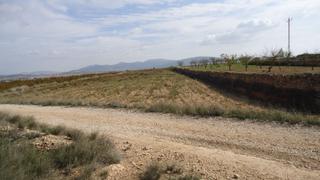 Rural plot in Yecla. Parcela edificable de 6,239 m con agua de riego en raspay, yecla