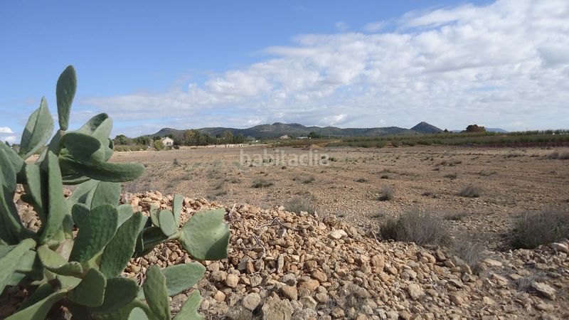 Foto 025bfb49-1f2d-4e38-89a8-85ea7ad91a8a. Finca rústica amplia parcela edificable con agua de riego y posibilidad de división , alicante en Pinoso