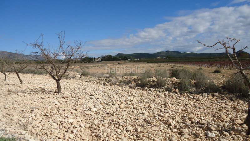 Foto 764bcd01-7e61-4013-a2f3-1357307832c9. Finca rústica amplia parcela edificable con agua de riego y posibilidad de división , alicante en Pinoso