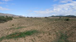 Propriété à Pinoso. Amplia parcela edificable con agua de riego en pinoso, alicante