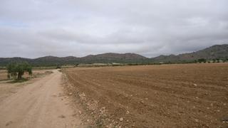 Rural plot in Yecla. Parcela rústica de 12,103 m en yecla, murcia