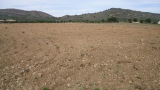 Rural plot in Yecla. Parcela rústica de 14.542 m en yecla, murcia
