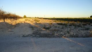 Finca rústica a Abanilla. Terreno edificable de 7.540 m en abanilla, murcia