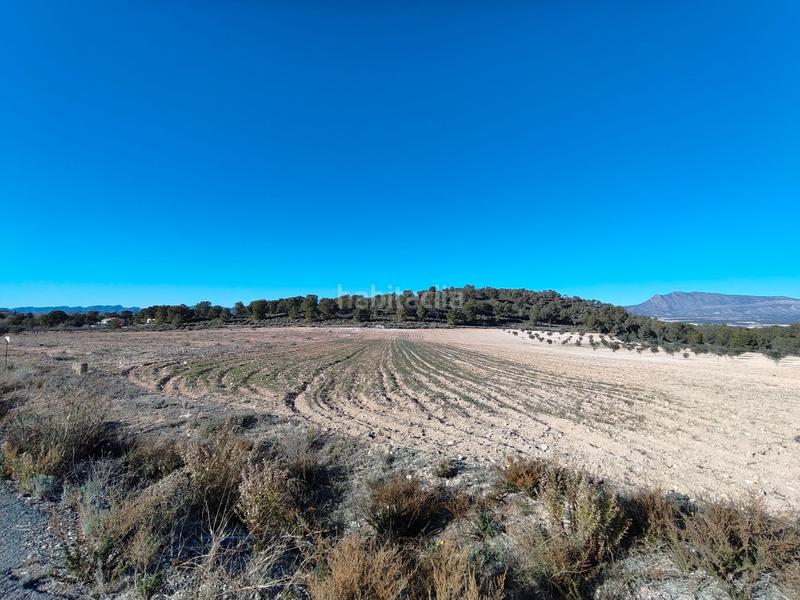 Foto 9b3c0b2f-03ec-41b8-8b4b-aa9c79217472. Finca rústica a Jumilla