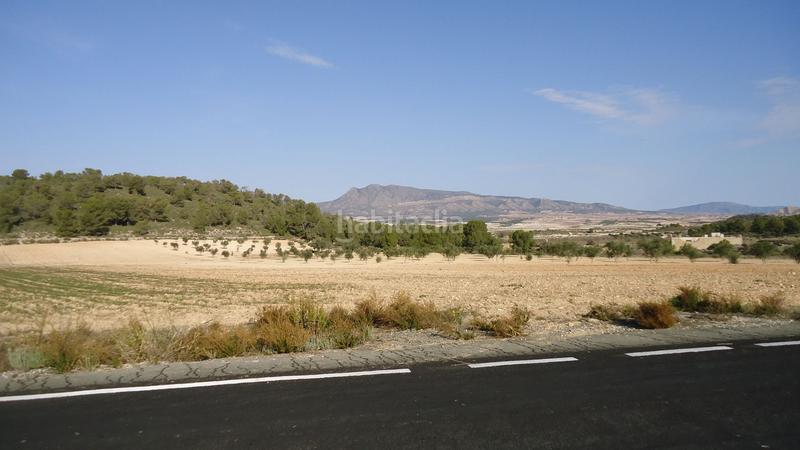 Foto d3963cd8-7a1d-45ee-b8be-693b6ae95336. Finca rústica a Jumilla