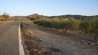 Finca rústica a Abanilla. Parcela rústica de 1.567 m con olivos y agua de riego en abanill