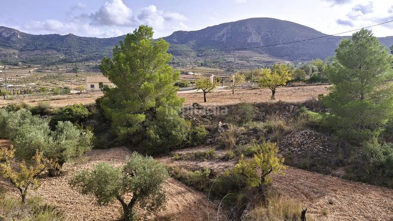 Foto b1eccbe7-d7db-4db0-a2d4-dbd6b70c3bb3. Finca rústica parcela edificable de 15.880 m en la romana, alicante en Romana (la)
