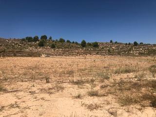 Finca rústica en Abanilla. Parcela urbanizable en la zarza jumilla 32.937 m