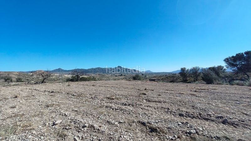 Foto 291aa400-80d0-4fa0-bafc-fc97d18a8f65. Finca rústica parcela urbanizable de 7.984 m con agua potable en Abanilla