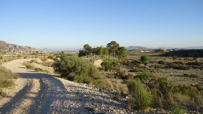 Foto ac0e3359-9838-4f15-8011-71fddfb455fb. Finca rústica parcela urbanizable de 7.984 m con agua potable en Abanilla