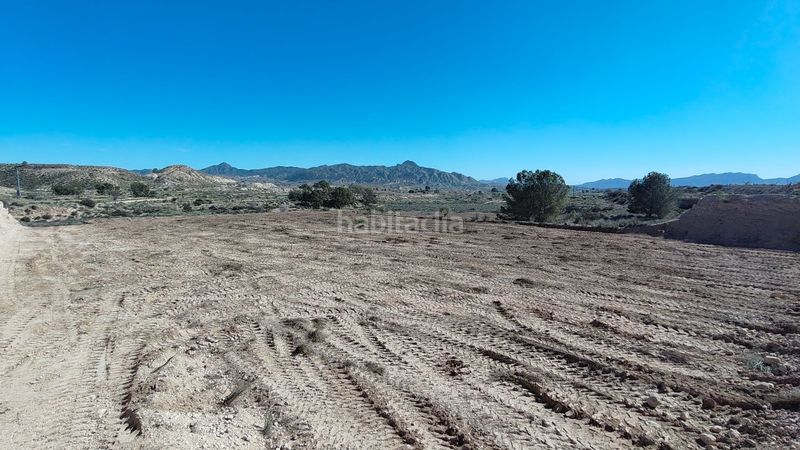 Foto c4b1fc7c-8634-4669-b6f6-281349e0ab9d. Finca rústica parcela urbanizable de 7.984 m con agua potable en Abanilla