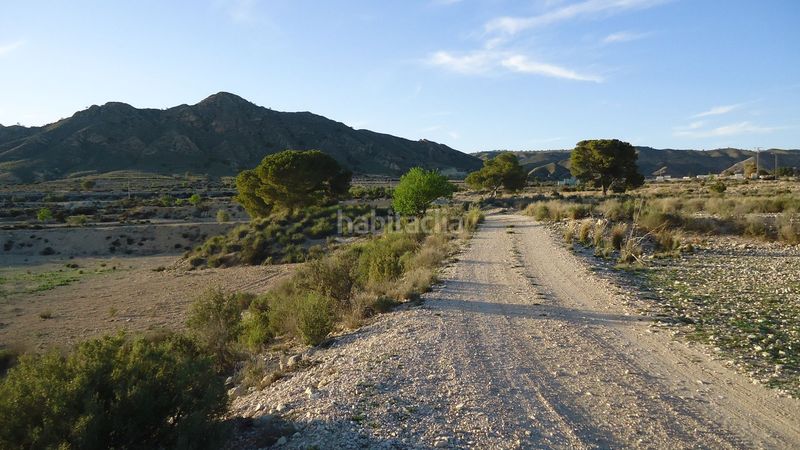 Foto eeedc4a7-e9b7-4440-ab70-036bac7d61b3. Finca rústica parcela urbanizable de 7.984 m con agua potable en Abanilla