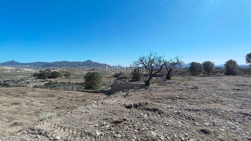Foto ef5f54ea-22ee-4f48-b5b5-b6b2bfb29a61. Finca rústica parcela urbanizable de 7.984 m con agua potable en Abanilla