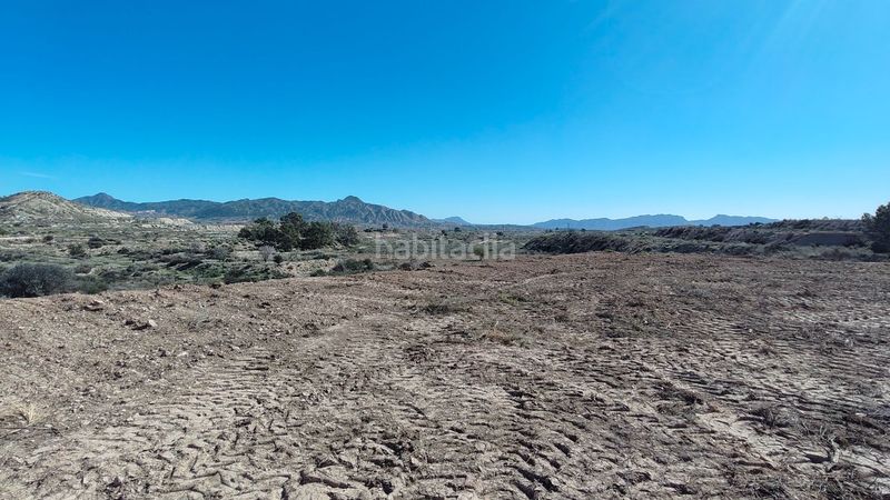 Foto f2e85a13-fcfc-4f41-9006-983a45d367c4. Finca rústica parcela urbanizable de 7.984 m con agua potable en Abanilla