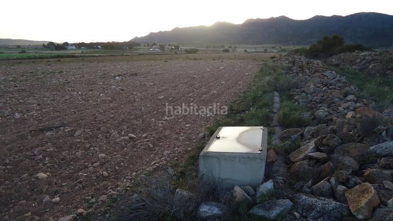 Foto 7a51945f-aba0-4dc5-b755-817cf2f3dea5. Finca rústica a Yecla