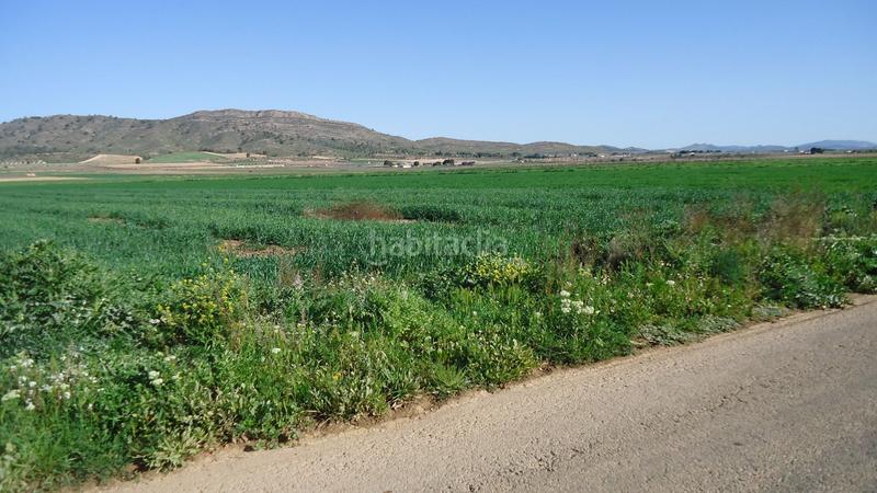 Foto 4c35c1fe-dd7d-4eb8-ae55-3b663e70b8c9. Finca rústica a Yecla