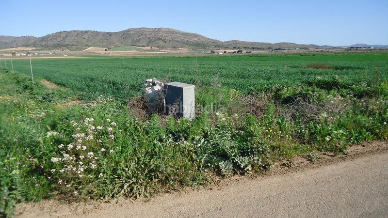 Foto 7bdb6c6b-d25f-4443-9301-7bd0cec0892b. Finca rústica a Yecla