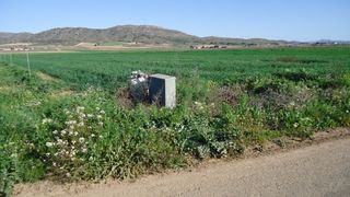 Finca r�stica en Yecla. Finca de 17.655 m en las gamellejas, yecla  con derechos de rieg