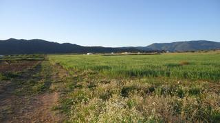 Rural plot in Yecla. Finca de 48.100 m en las gamellejas, yecla  con derechos de rieg