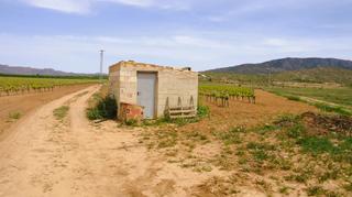 Propriété à Pinoso. Finca de riego con viñedo de 58.478 m en pinoso, alicante