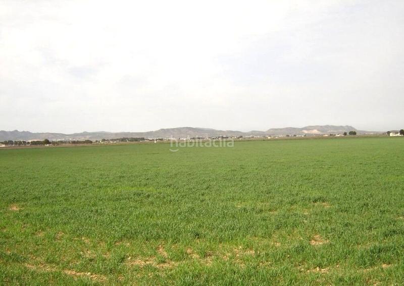 Foto 2fe0203e-a02a-4a64-97c1-ed7f3c667b53. Finca rústica a Yecla