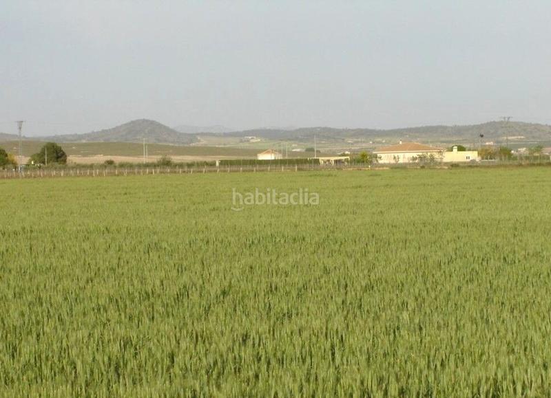 Foto d20fa093-78bd-43c5-b480-a18eac8e2e15. Finca rústica a Yecla