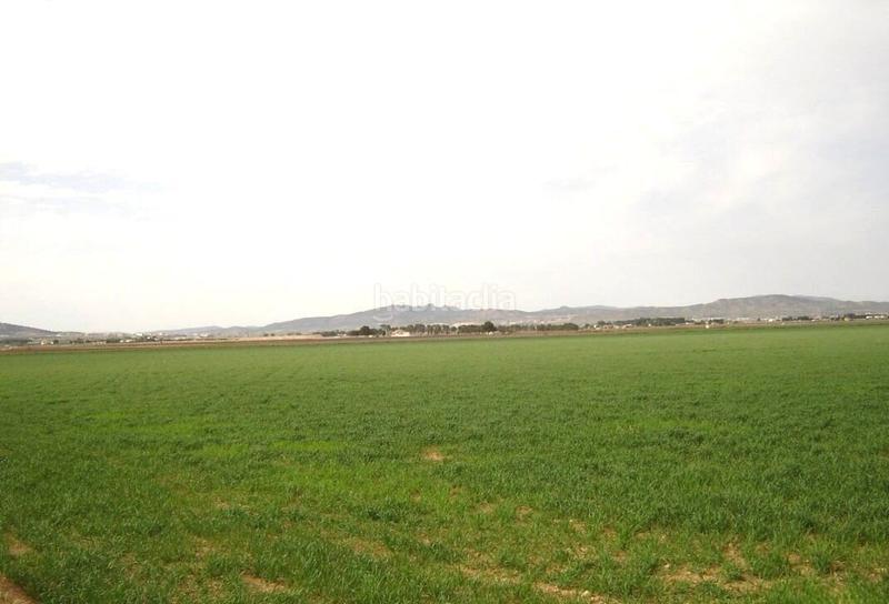 Foto e3f3987a-e676-4c85-becc-2b5e3d443684. Finca rústica a Yecla