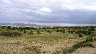 Finca rústica en Abanilla. Parcela rústica con bonitas vistas en zona tranquila de abanilla