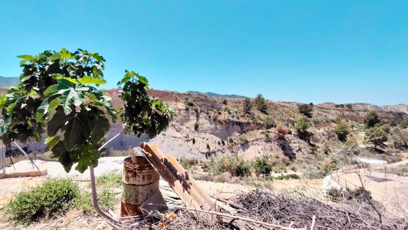 Foto 2ed38b1b-16d2-475e-afd6-d4677c3da3ec. House in Abanilla