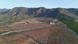 Fondo rustico in Pulgara. Gran finca rústica de 643.153 m en lorca murcia, con plantacione