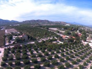 Landgut in Redován. Finca en producción con vivienda, piscina y excelente acceso