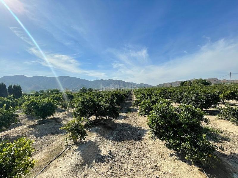 Foto e8e14e1f-9658-4603-ba01-a2f1b1d90251. Finca rústica a Redován