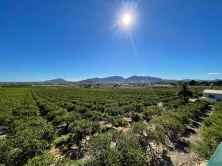 Rural plot in Fortuna. Exclusiva finca de limoneros en producción con chalet y casa de
